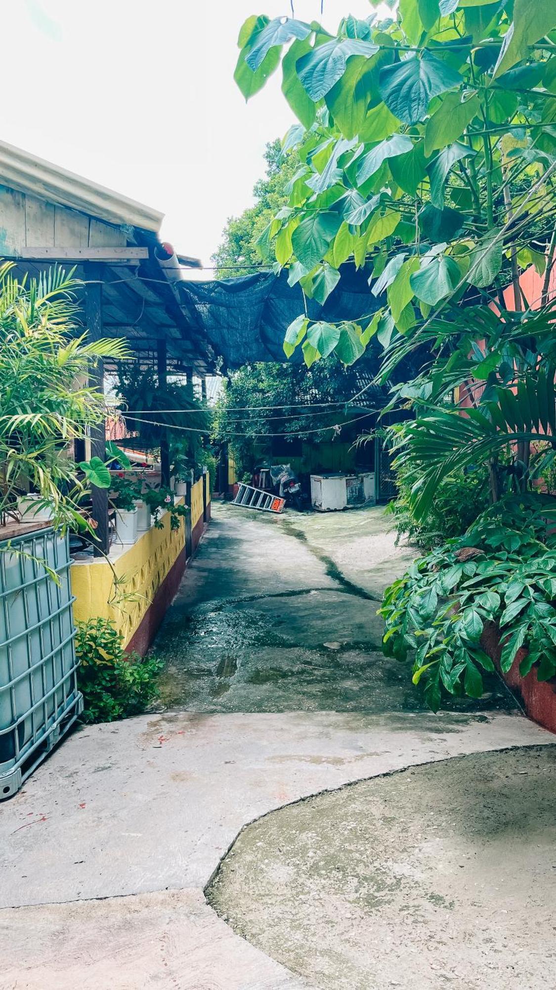 Zazil Ha Hostel El Remate Zewnętrze zdjęcie